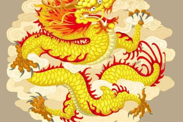 1976年属龙人2024年运势_1976属龙人2024龙年运势详解逐月运程与关键转折 1976年属龙人2024年运势_1976属龙人2024龙年运势详解逐月运程与关键转折