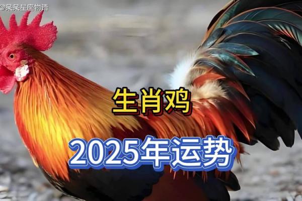 2025年属鸡的全年运程 2025年属鸡全年运程详解运势大揭秘 2025年属鸡的全年运程 2025年属鸡全年运程详解运势大揭秘