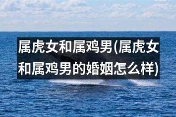 属虎和属鸡的适合做夫妻吗 属虎和属鸡的婚姻配对适合做夫妻吗 属虎和属鸡的适合做夫妻吗 属虎和属鸡的婚姻配对适合做夫妻吗
