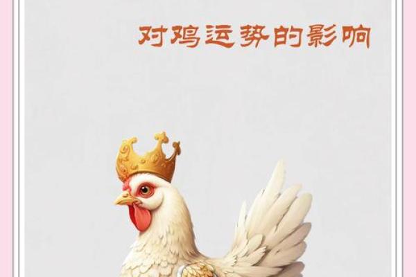 生肖鸡2025年运势_2025年生肖鸡运势详解财运事业爱情全面解析