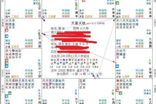 福德宫禄存 福德宫禄存解析财运与福气的关键所在 福德宫禄存 福德宫禄存解析财运与福气的关键所在