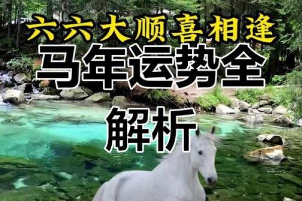 属马人2020年运势 属马人2020年运势