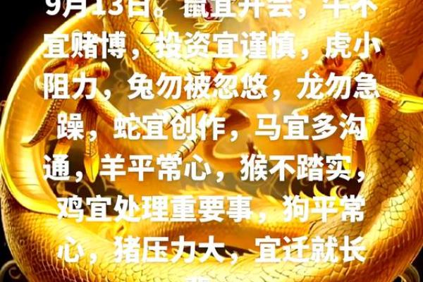 属鼠人2013年运势 属鼠人2013年运势