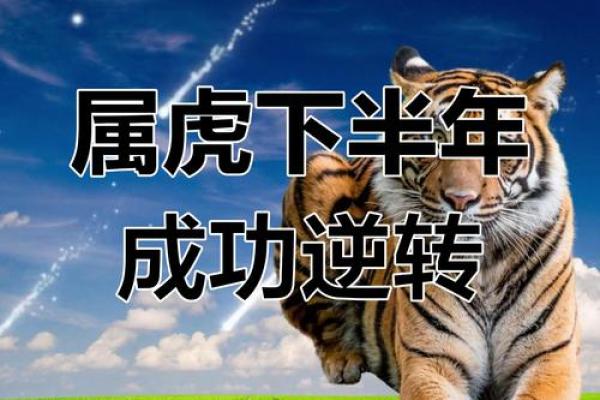 属虎人2020年下半年运势 属虎人2020年下半年运势