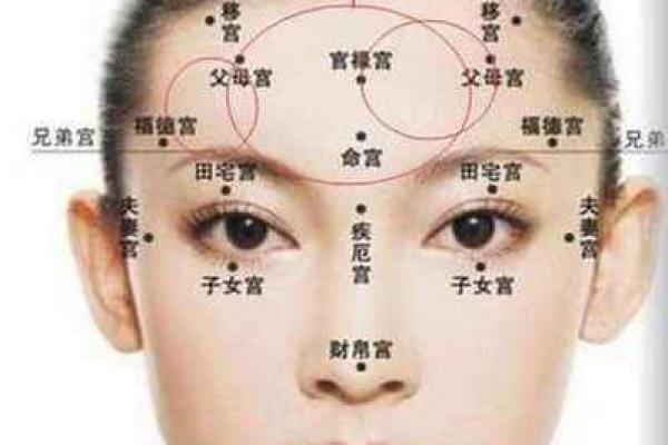 福德宫在哪个位置 福德宫位置详解探寻风水宝地的奥秘 福德宫在哪个位置 福德宫位置详解探寻风水宝地的奥秘