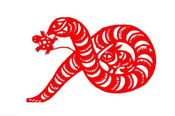 2022年属蛇人的全年运势 2022年属蛇人的全年运势