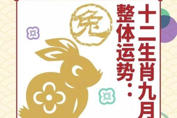 2021年属兔人的全年运势 2021年属兔人的全年运势