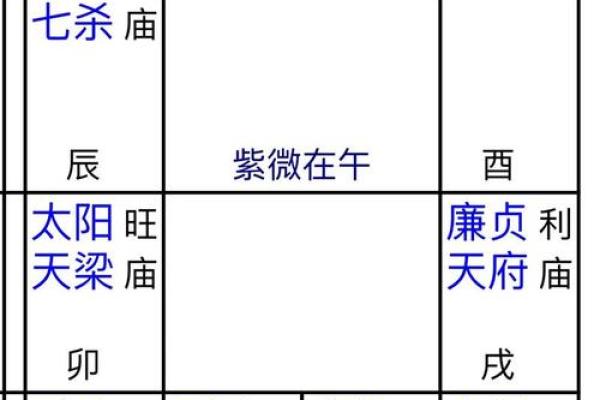 2025年3月16日寅时男命紫微斗数全解盘 2025年3月16日寅时男命紫微斗数全解盘