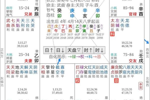 2025年2月17日丑时男命紫微斗数全解盘 2025年2月17日丑时男命紫微斗数全解盘