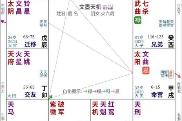 2025年2月17日寅时女命紫微斗数全解盘 2025年2月17日寅时女命紫微斗数全解盘