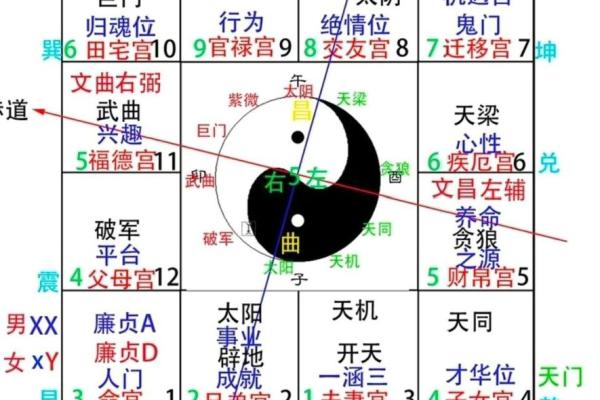 夫妻宫 太阳化忌 夫妻宫太阳化忌婚姻有实无名 夫妻宫 太阳化忌 夫妻宫太阳化忌婚姻有实无名