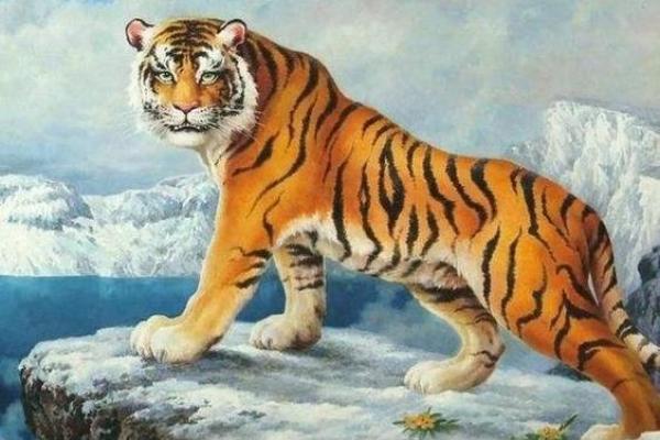 属虎的男孩出生吉日 农历初三的生肖虎才华横溢 属虎的男孩出生吉日 农历初三的生肖虎才华横溢