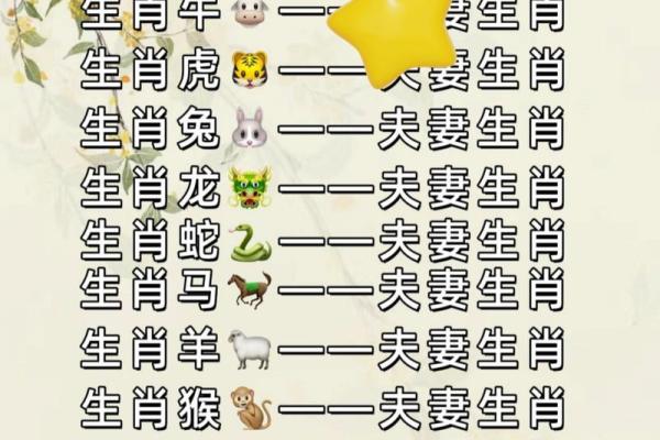 属马的属相婚配表 属马婚配哪个属相最好 属马的属相婚配表 属马婚配哪个属相最好