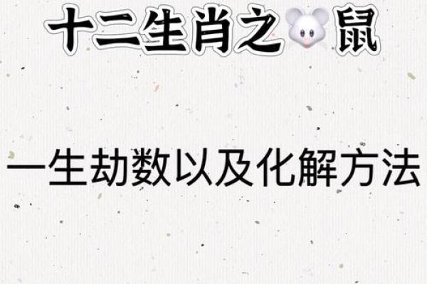 属鼠的人在新的一段感情中会和前任藕断丝连吗 属鼠的人在新的一段感情中会和前任藕断丝连吗