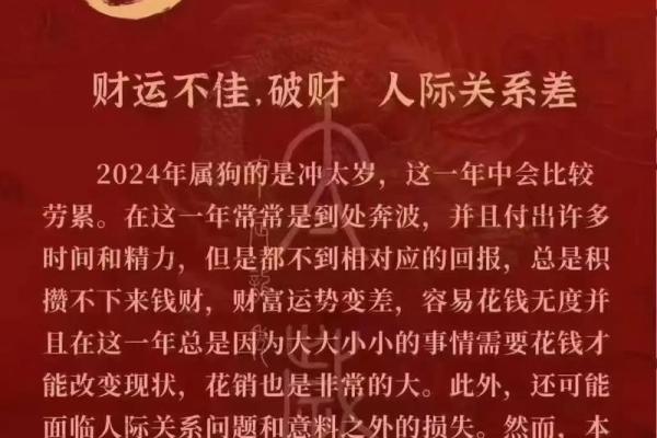 1994年出生的今年多大 属狗人2022年运势怎么样 1994年出生的今年多大 属狗人2022年运势怎么样