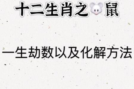 属鼠的人在新的一段感情中会和前任藕断丝连吗