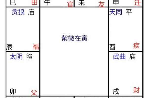 2025年4月7日午时男命紫微斗数全解盘 2025年4月7日午时男命紫微斗数全解盘