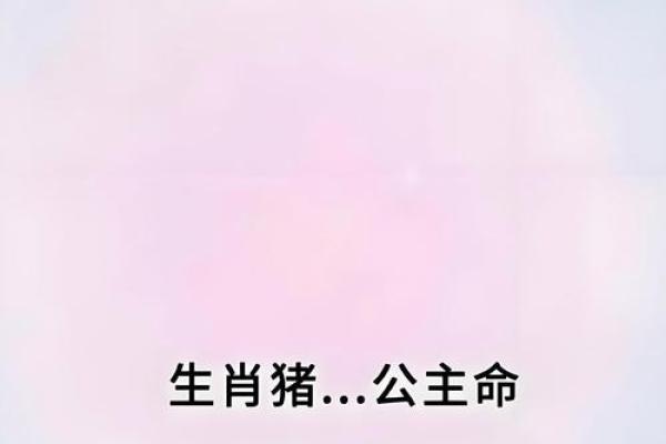 风花雪月是什么生肖(风花雪月是什么生肖谜底) 风花雪月是什么生肖(风花雪月是什么生肖谜底)