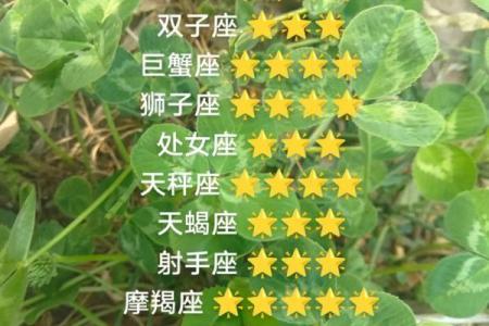 2024年属羊要出大事 会发生什么大事_十二星座