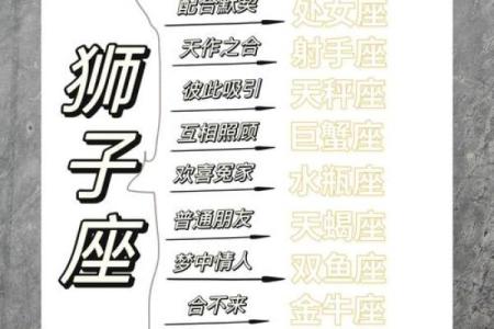 狮子座是什么象星座