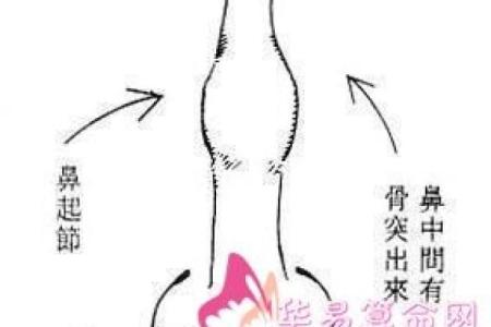 姓子车的名人-姓名学-华易算命网姓名