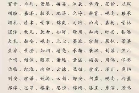 2019年3月22号亥时出生的男孩应该起什么样的名字姓名