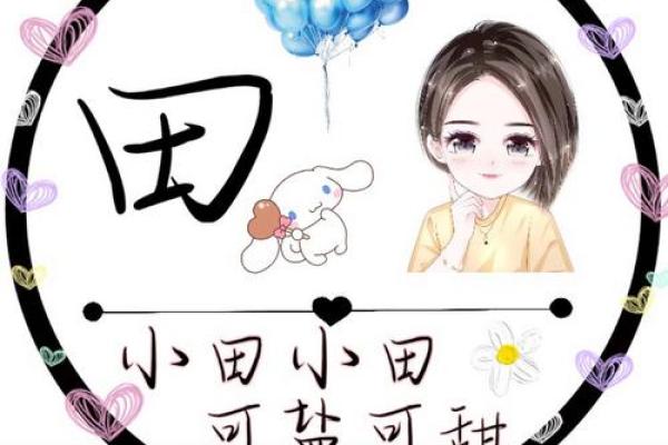 田姓女孩名字大全-田姓女孩起名字大全-田姓名字大全姓名