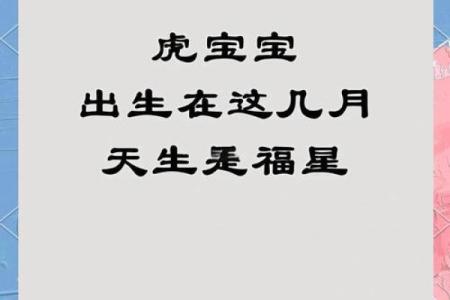 早上9点出生的属虎男孩怎么起名，用什么字姓名